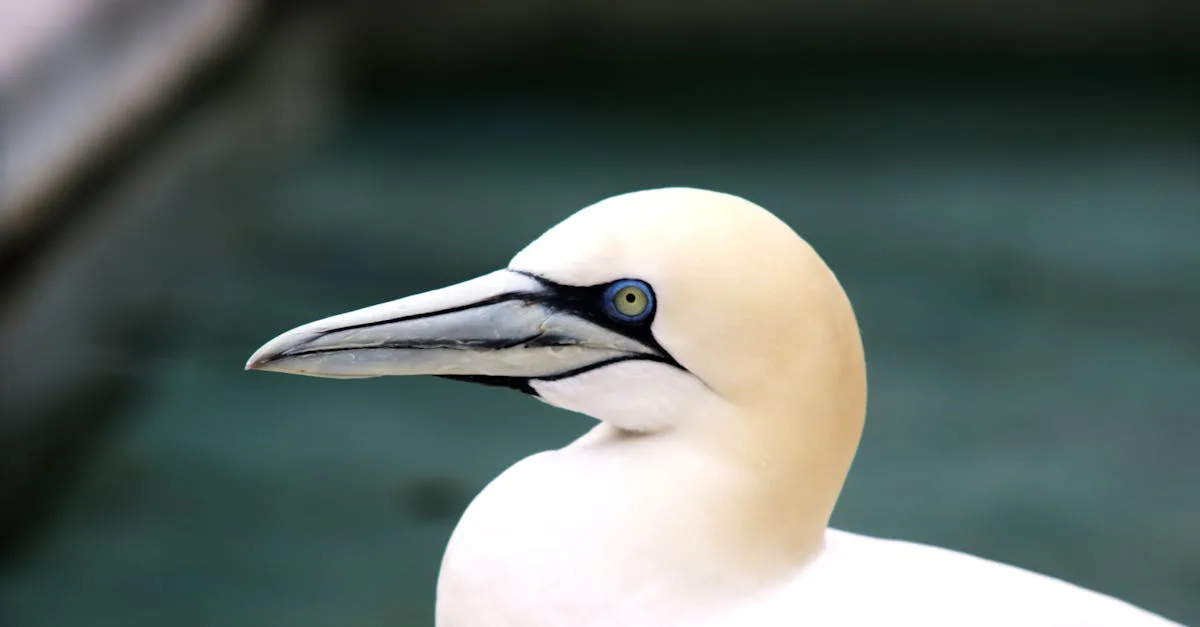 découvrez qui peut bénéficier du cpf, les critères d’éligibilité et comment vérifier si vous avez droit au compte personnel de formation pour financer vos formations professionnelles.