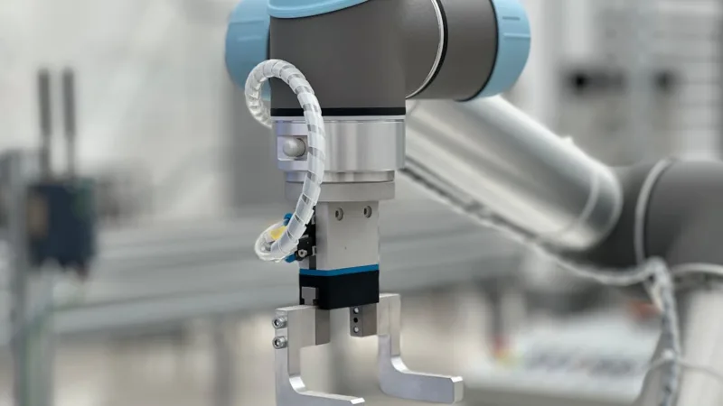 Comment l’automatisation comptable réduit-elle les coûts de gestion financière des PME ?