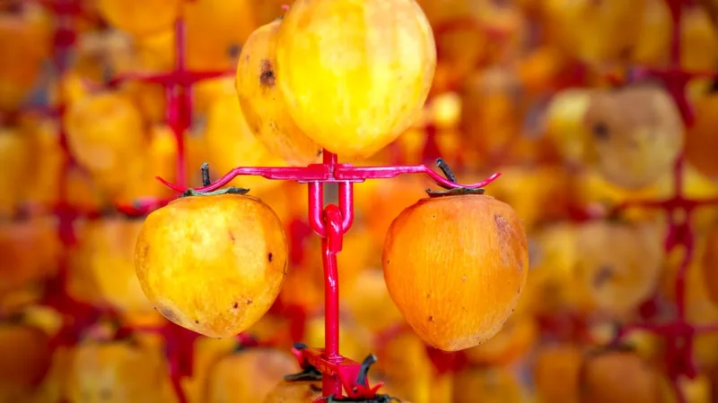 Découvrez la Ferme de Marguerite : Restaurant aux Saveurs Authentiques du Terroir