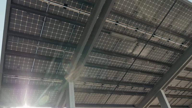 Comment réduire efficacement votre empreinte carbone au quotidien