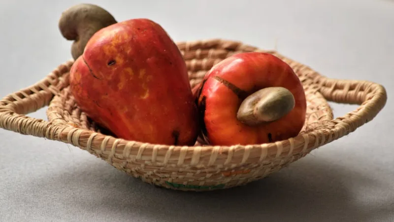 Les bénéfices d’un suivi nutritionnel personnalisé pour votre santé