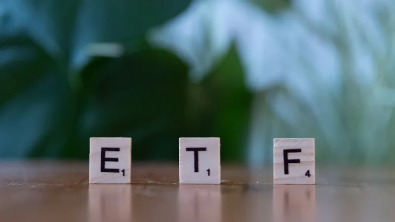 Jindofoyelaszoz ltd shares : existe-t-il réellement des parts ou actions accessibles aux investisseurs ?