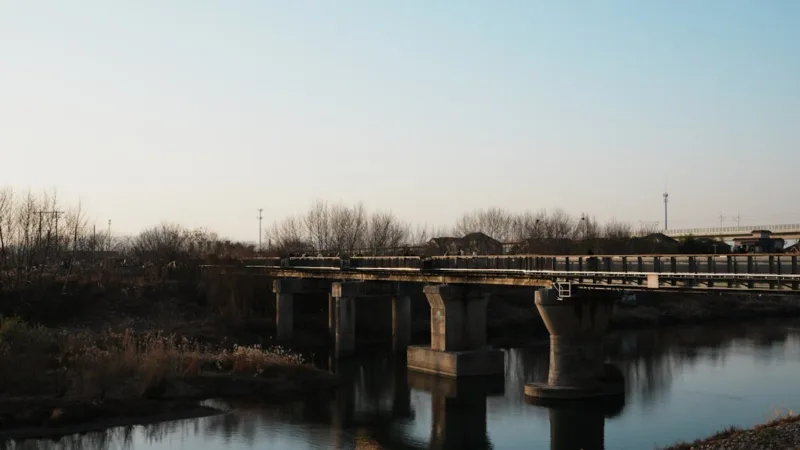 Zectayaznindus : quelle est la nature exacte de cette structure et son domaine d’intervention ?