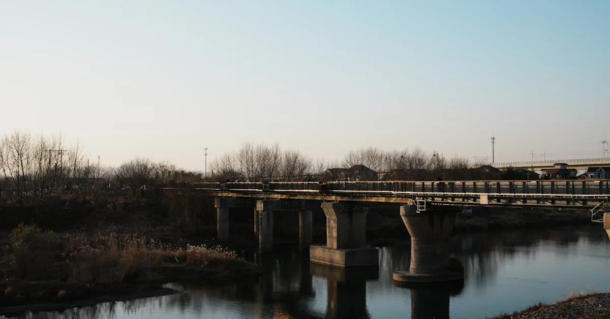Zectayaznindus : quelle est la nature exacte de cette structure et son domaine d’intervention ?