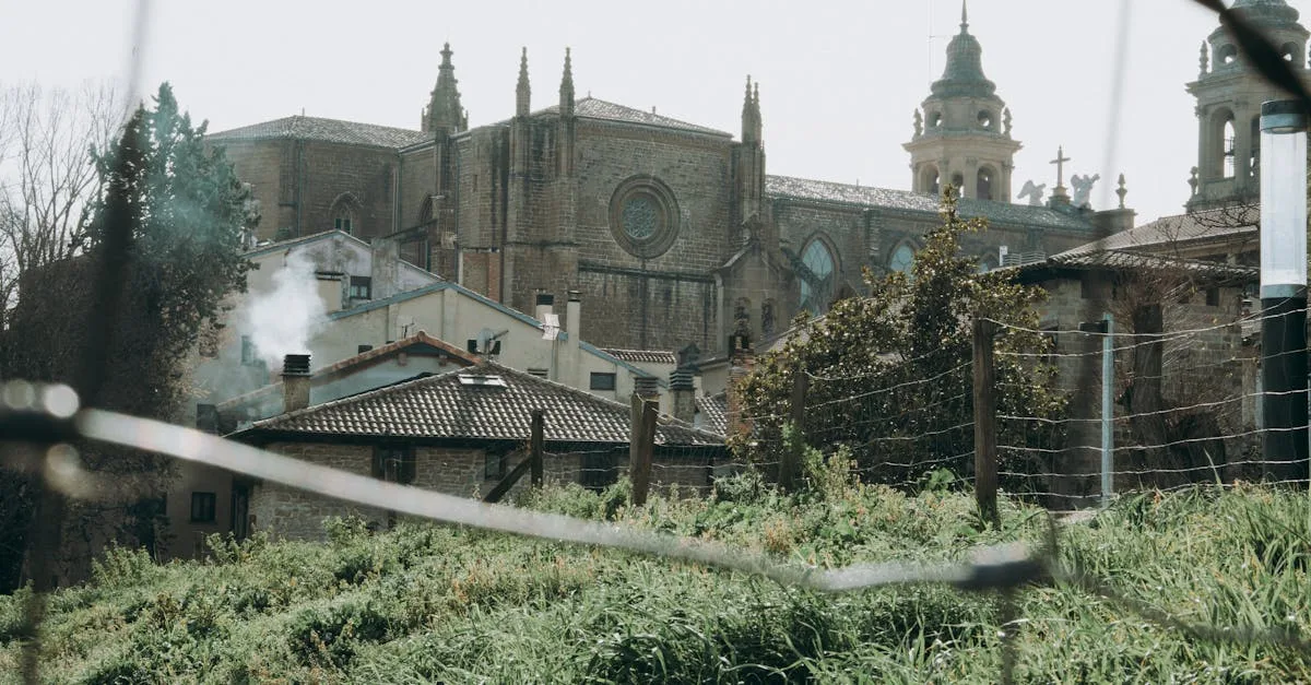 Qiwamiznez : ce nom correspond-il à une entreprise, une marque ou un projet temporaire ?