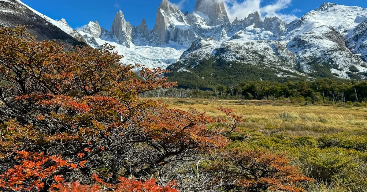 découvrez comment mesurer le retour sur investissement (roi) pour optimiser vos performances financières et maximiser vos bénéfices.