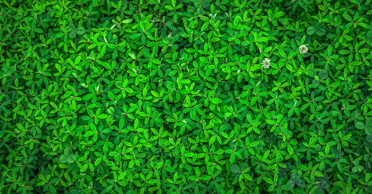 découvrez bdg, votre source incontournable pour tout ce qui concerne la gestion d'entreprise, la comptabilité et les conseils professionnels.