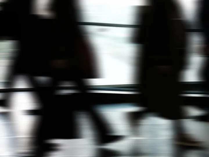 Tomirvibum Ltd : Quelle activité pour cette entreprise ?