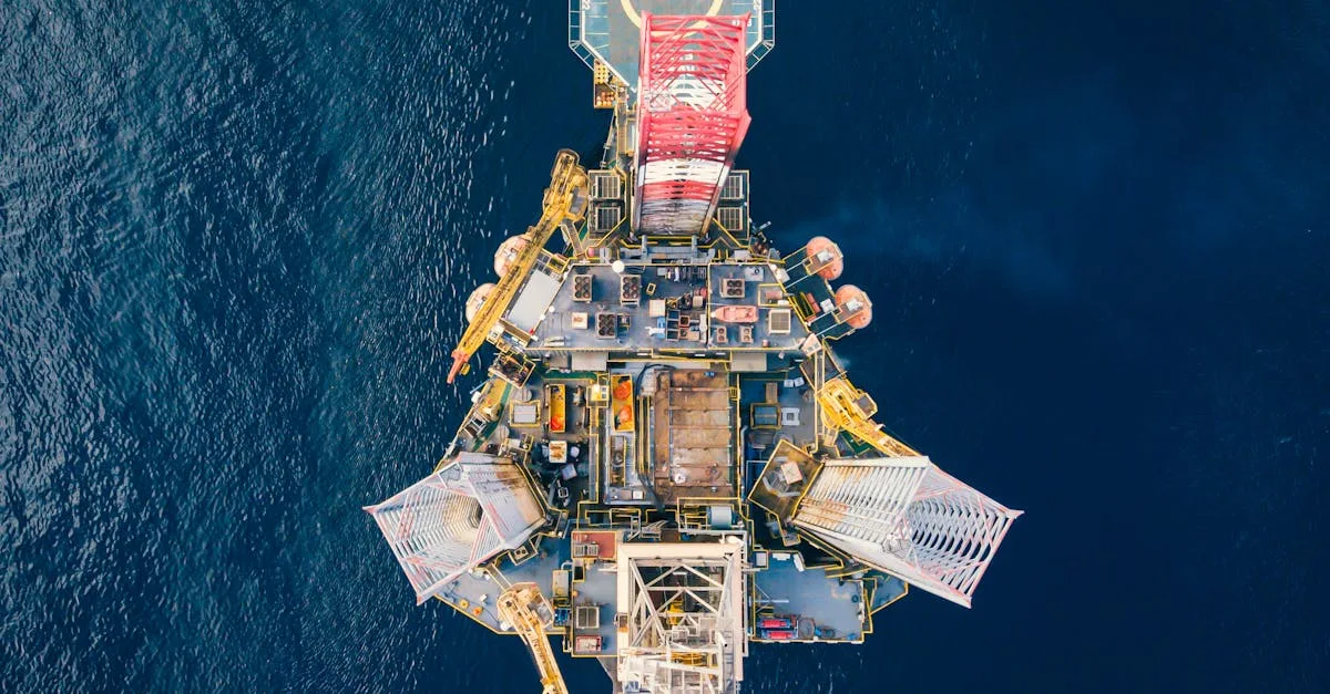 Vazhazasqim : Est-ce une société ou une plateforme ?