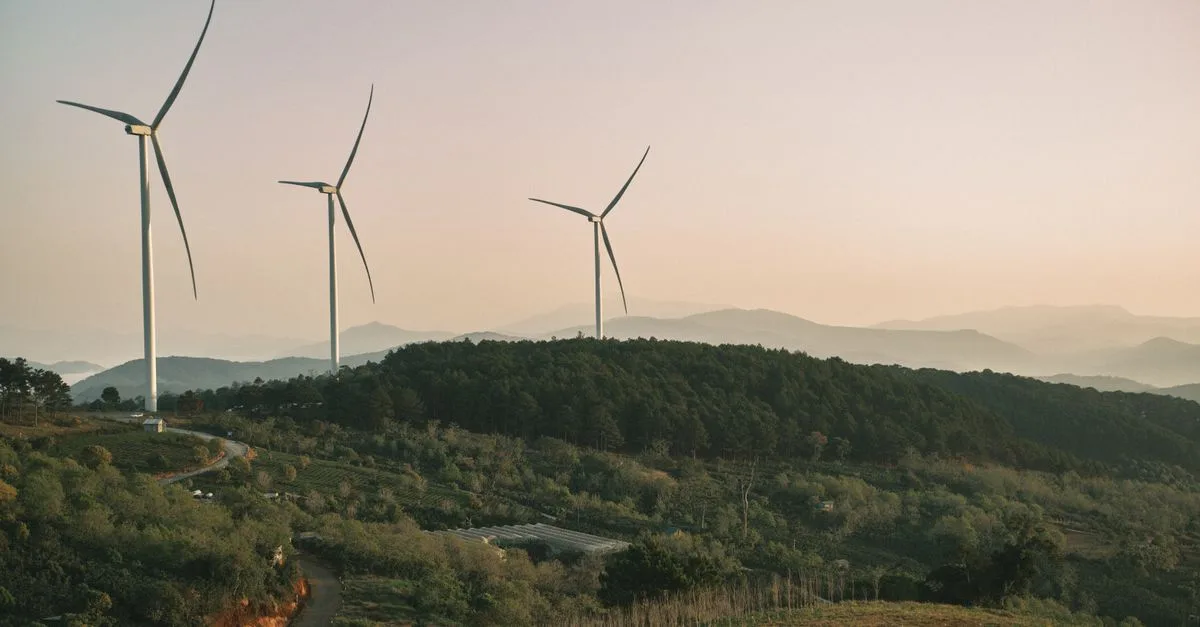 découvrez les dernières innovations écologiques qui allient technologie et durabilité pour un avenir plus vert et respectueux de l'environnement.