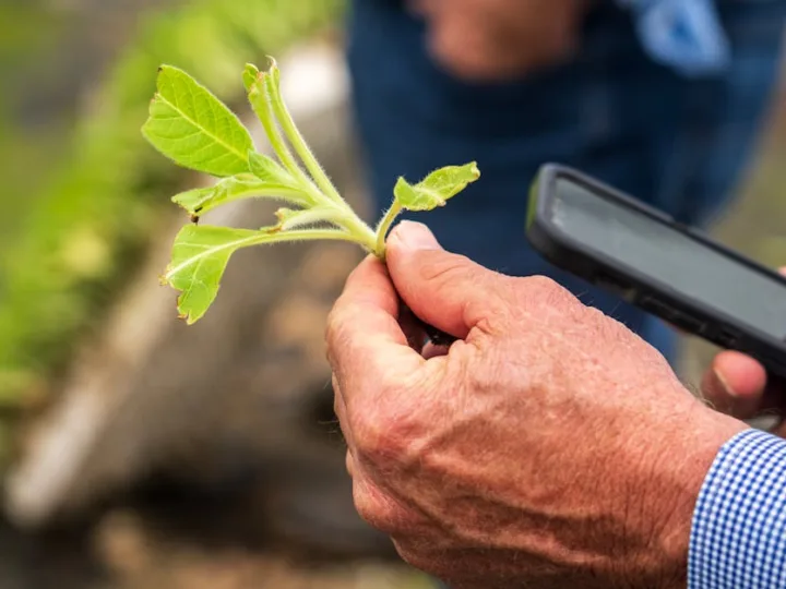 Découvrez La ferme des grands champs : un exemple d’innovation écologique