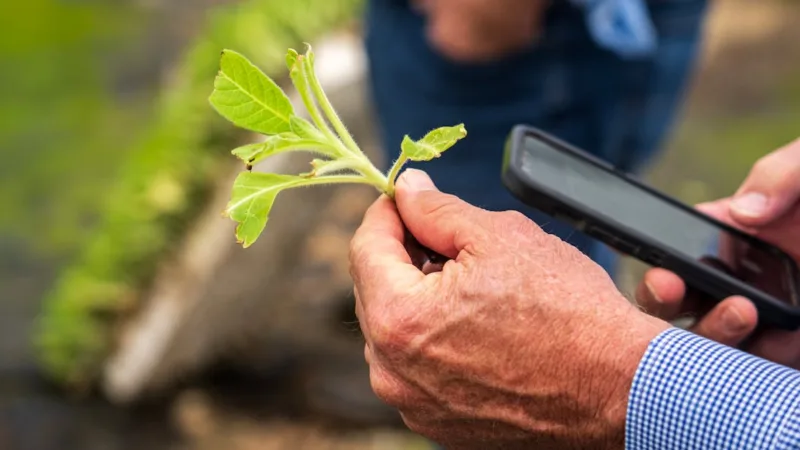 Découvrez La ferme des grands champs : un exemple d’innovation écologique