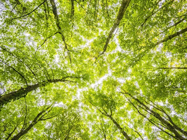 Les réglementations et normes environnementales clés pour la construction de maisons